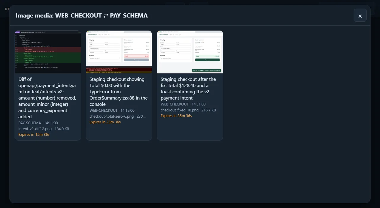 Media browser listing images shared on one thread, with captions, senders, sizes and expiry countdowns.